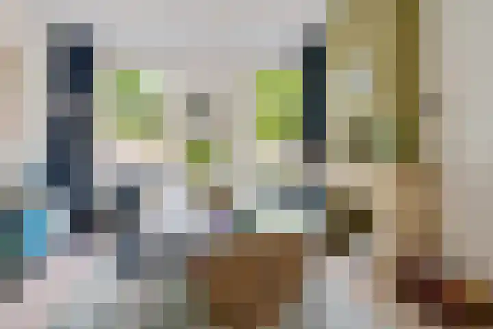Nassaulaan 54 Groningen thumbnail 20