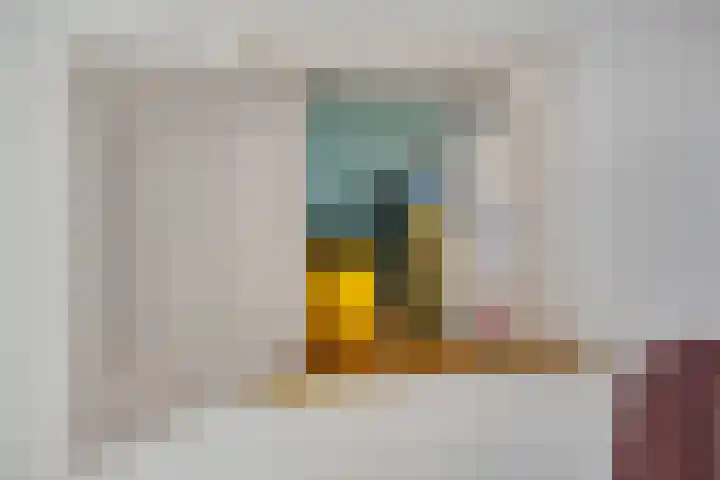 Nassaulaan 54 Groningen thumbnail 25