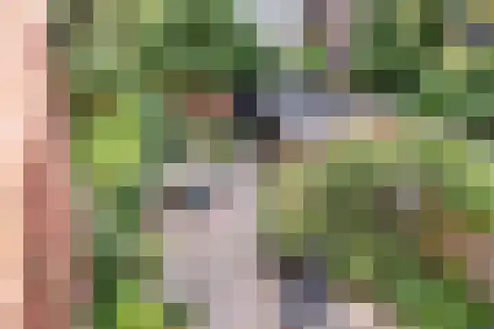 Nassaulaan 54 Groningen thumbnail 28