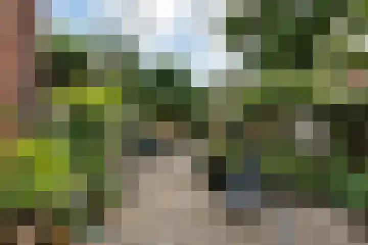 Nassaulaan 54 Groningen thumbnail 30