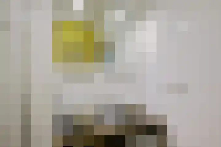 Nassaulaan 54 Groningen thumbnail 44