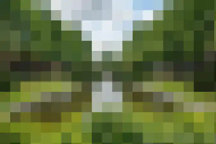 Nassaulaan 54 Groningen thumbnail 45