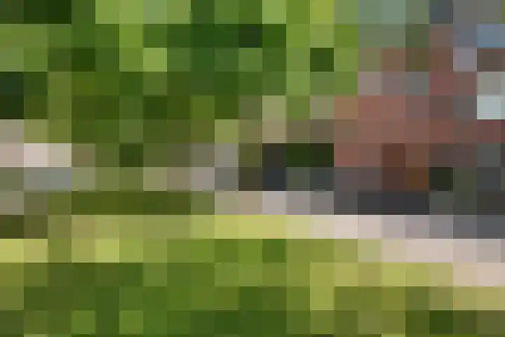Nassaulaan 54 Groningen thumbnail 6