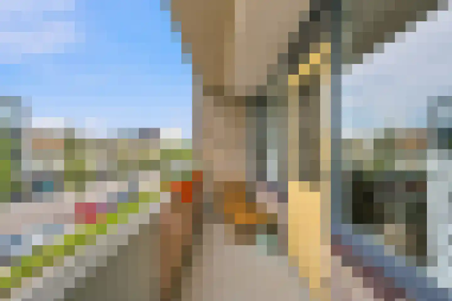 Nassaulaan 57 Middelburg thumbnail 15