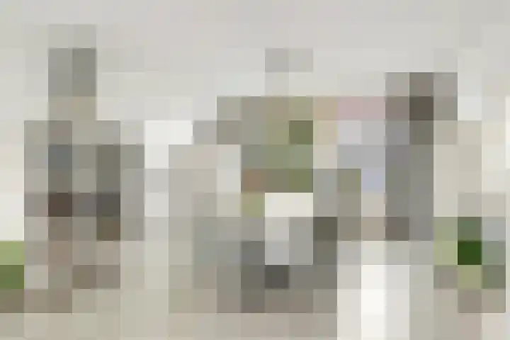 Nassaulaan 58 Hoevelaken thumbnail 11