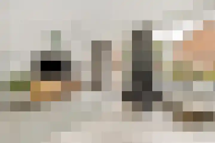 Nassaulaan 58 Hoevelaken thumbnail 12