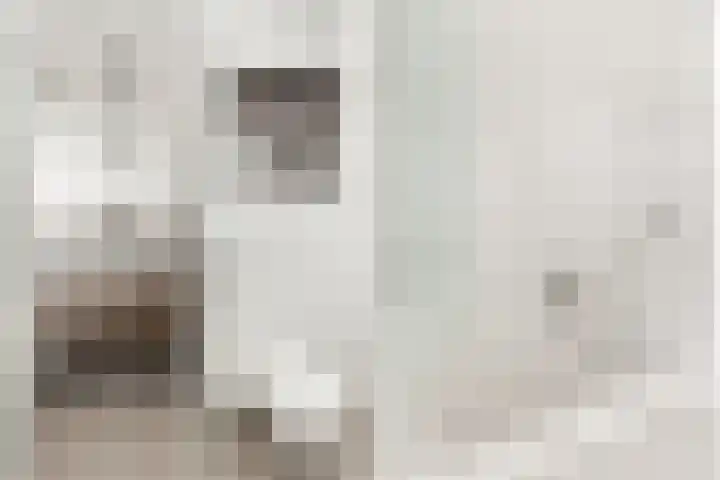 Nassaulaan 58 Hoevelaken thumbnail 22