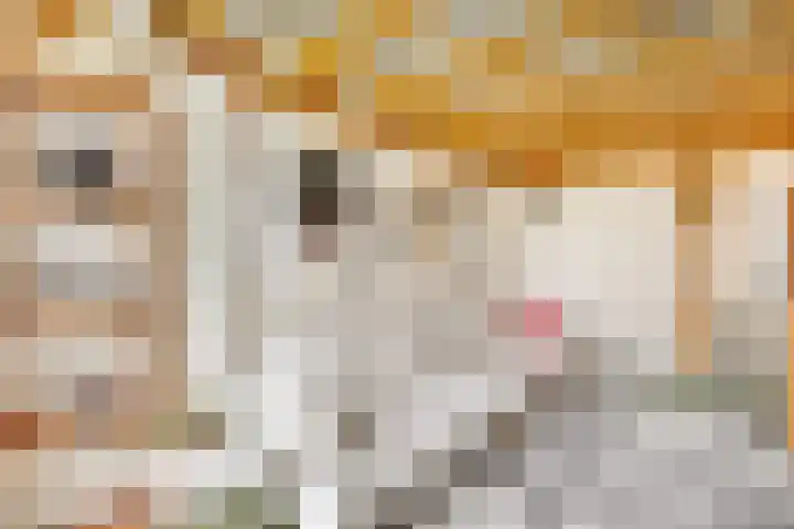 Nassaulaan 58 Hoevelaken thumbnail 27