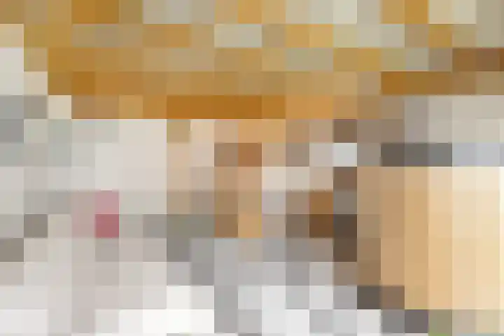 Nassaulaan 58 Hoevelaken thumbnail 28