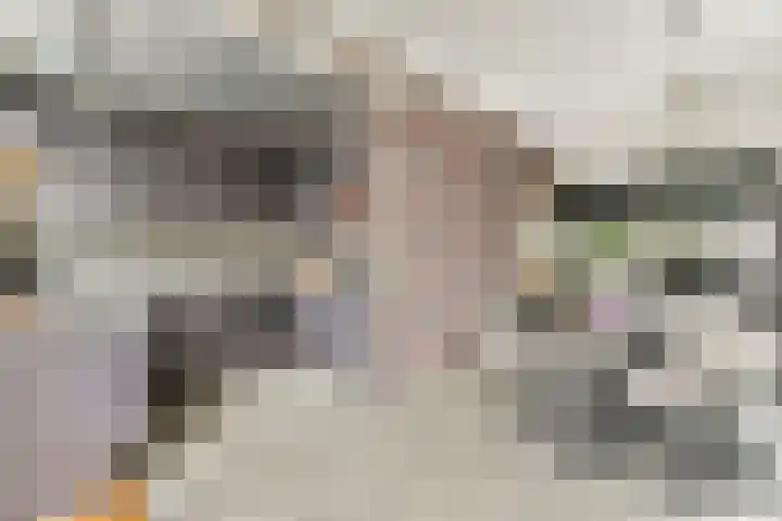 Nassaulaan 58 Vlaardingen thumbnail 11
