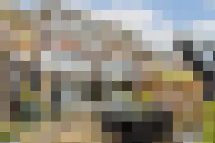 Nassaulaan 58 Vlaardingen thumbnail 16