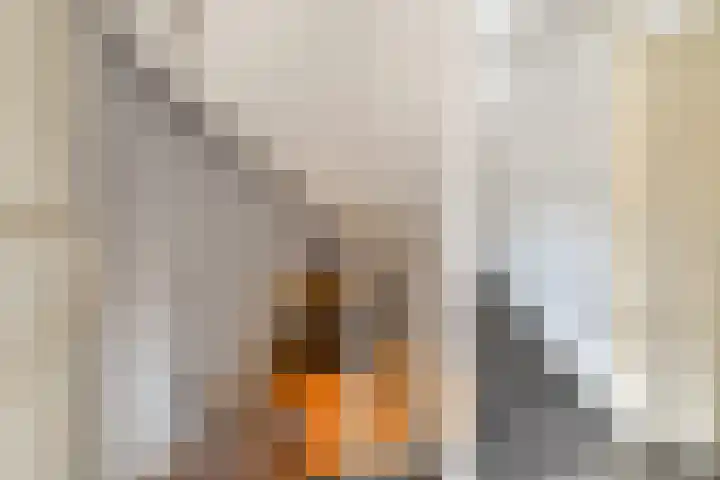 Nassaulaan 58 Vlaardingen thumbnail 17
