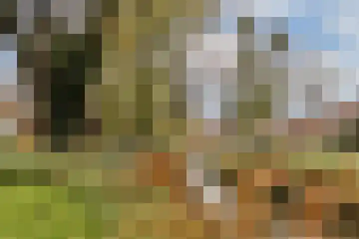 Nassaulaan 58 Vlaardingen thumbnail 28