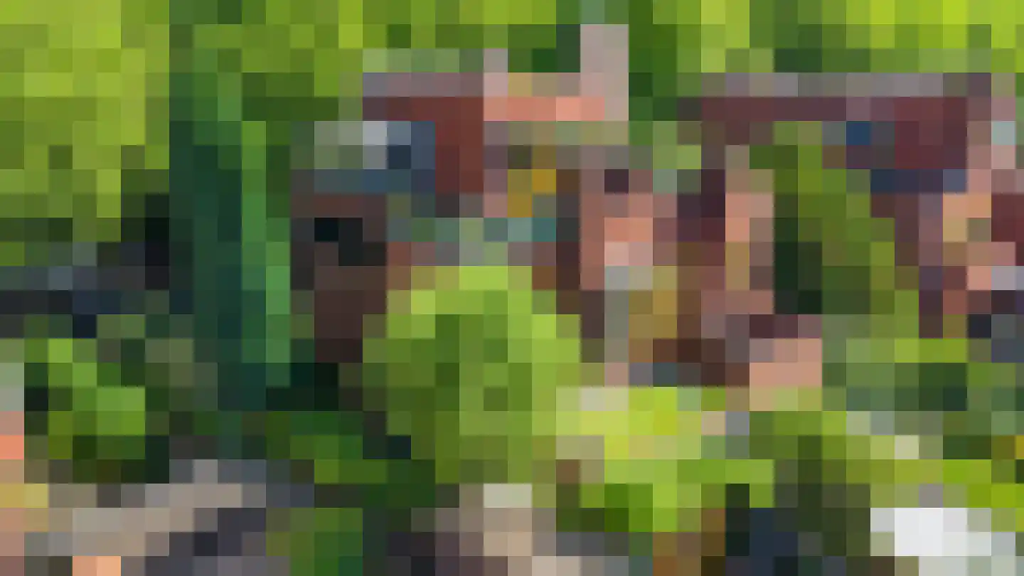 Nassaulaan 6 1 Groningen thumbnail 11