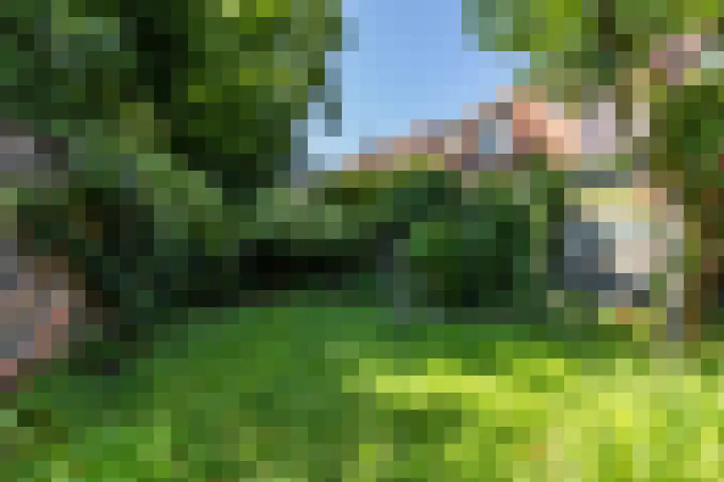 Nassaulaan 6 1 Groningen thumbnail 14