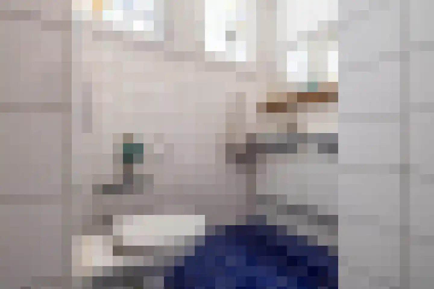Nassaulaan 6 1 Groningen thumbnail 39