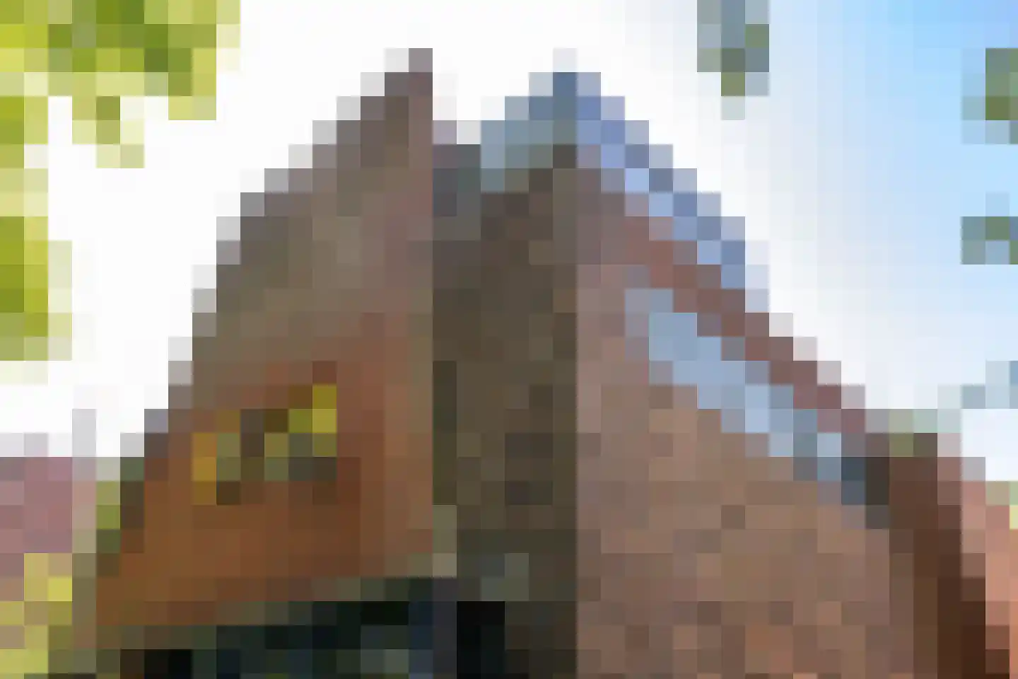 Nassaulaan 6 1 Groningen thumbnail 4