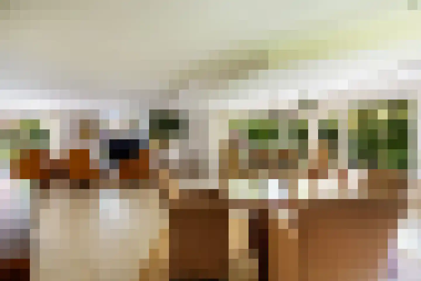 Nassaulaan 6 A Ermelo thumbnail 13