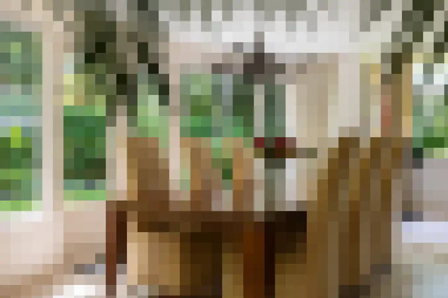 Nassaulaan 6 A Ermelo thumbnail 15