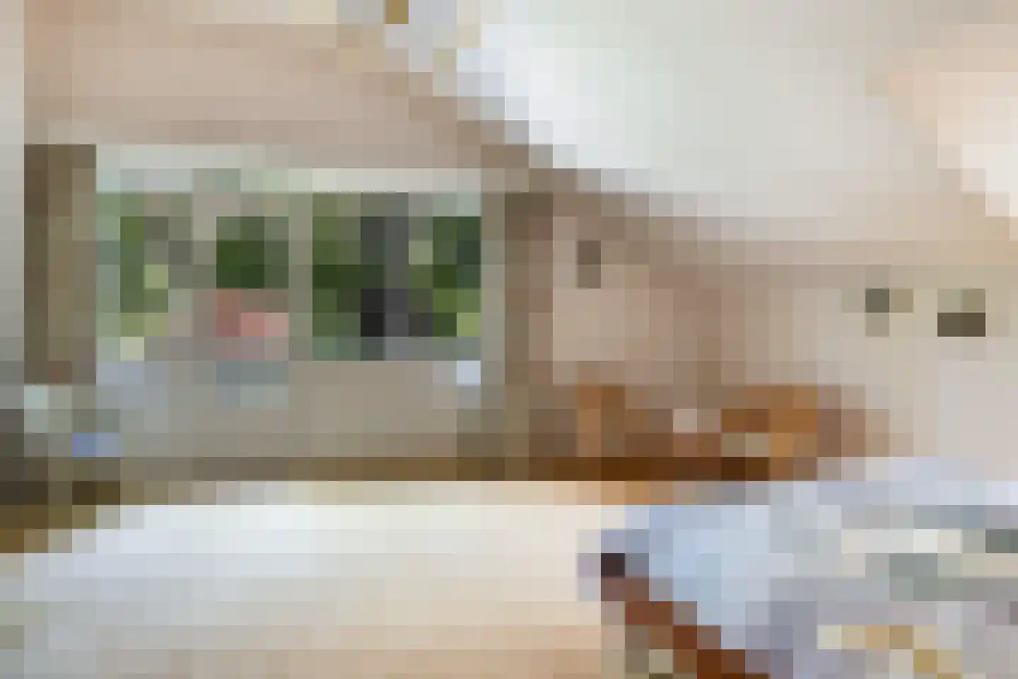 Nassaulaan 6 A Ermelo thumbnail 33