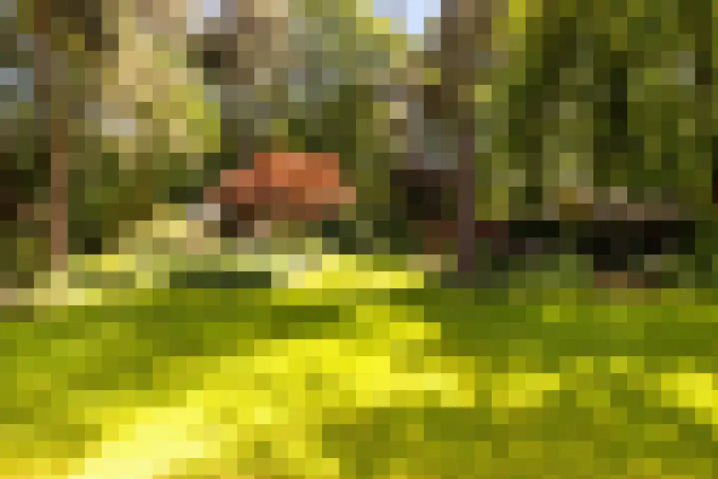 Nassaulaan 6 A Ermelo thumbnail 4