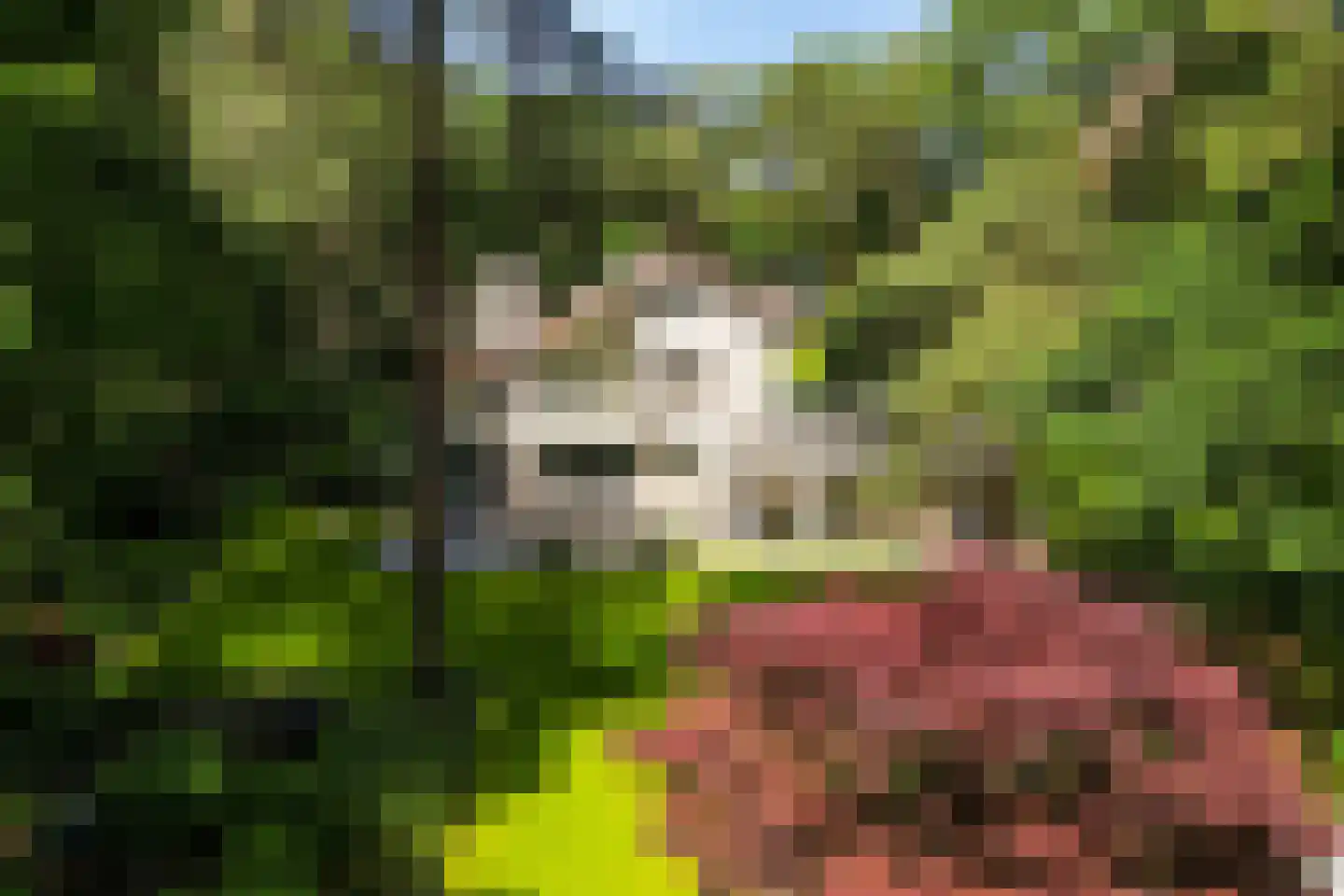 Nassaulaan 6 A Ermelo thumbnail 44