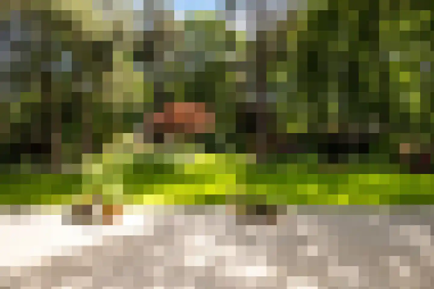 Nassaulaan 6 A Ermelo thumbnail 46