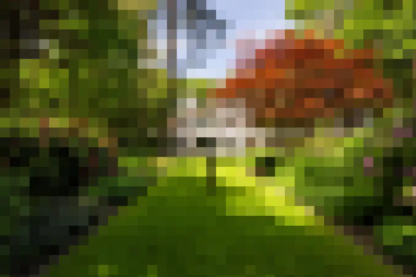 Nassaulaan 6 A Ermelo thumbnail 47