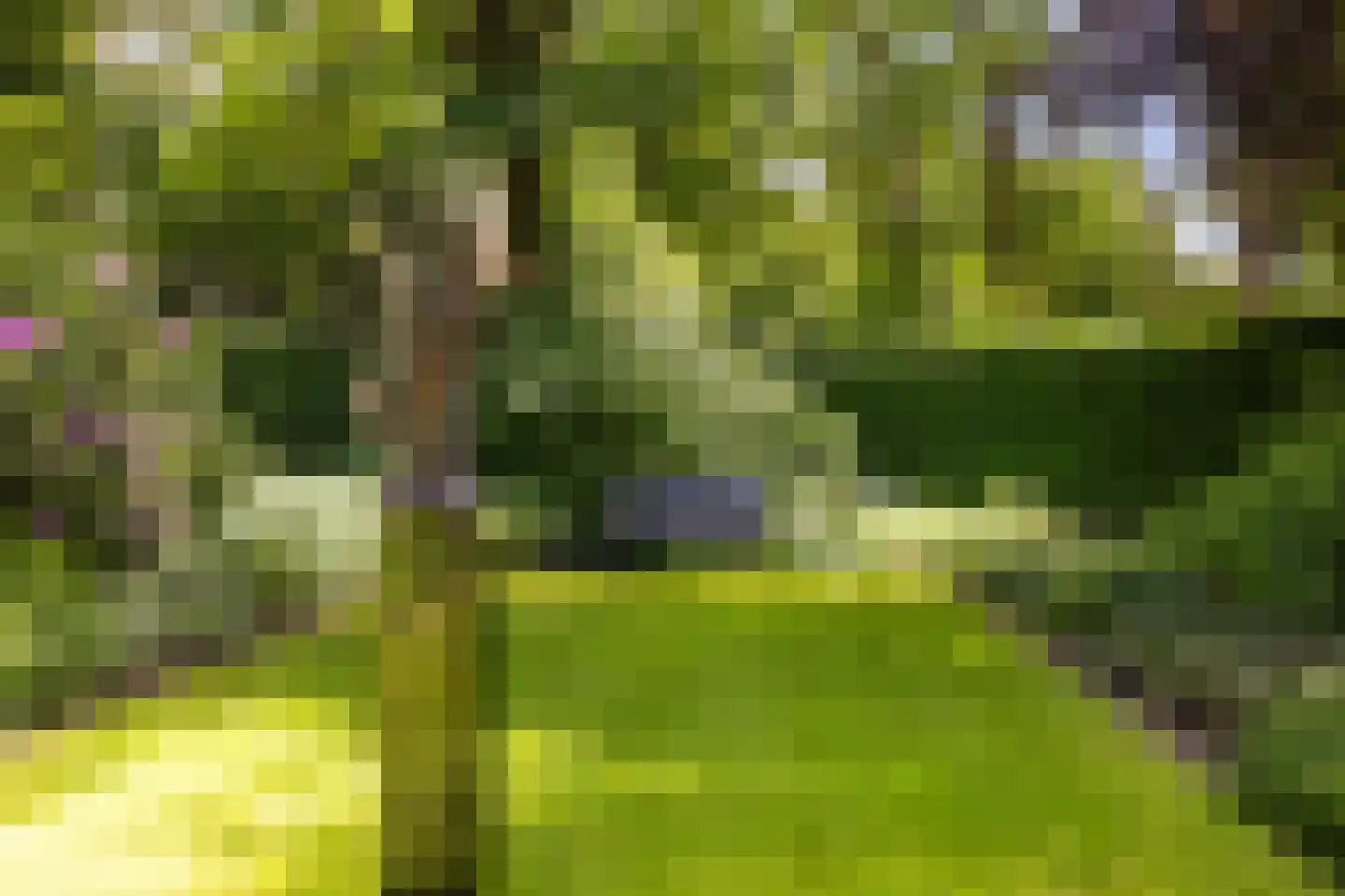 Nassaulaan 6 A Ermelo thumbnail 48