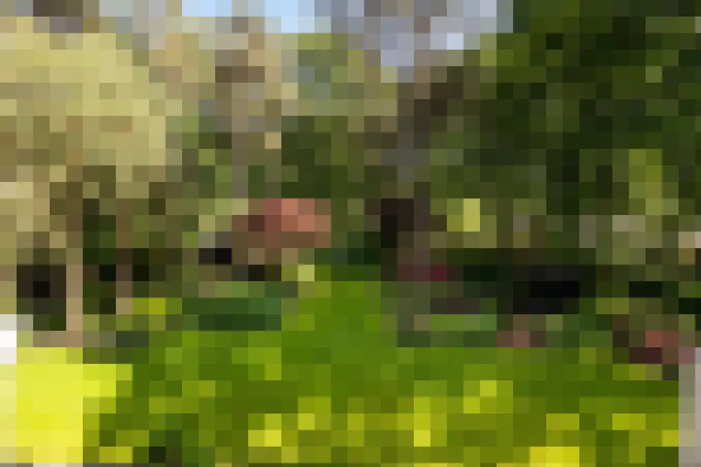 Nassaulaan 6 A Ermelo thumbnail 49