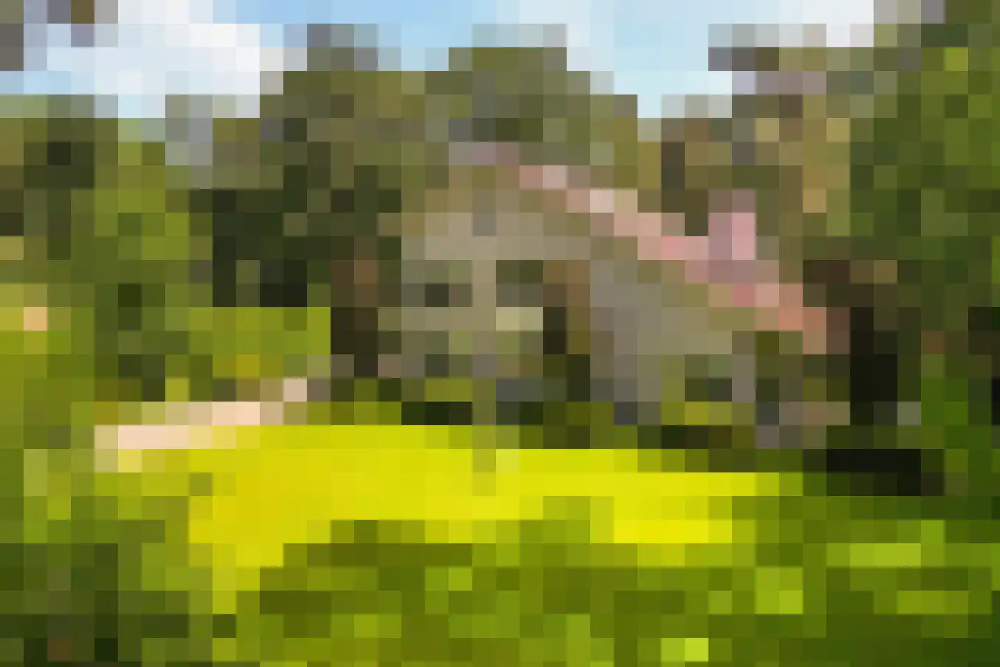 Nassaulaan 6 A Ermelo thumbnail 5