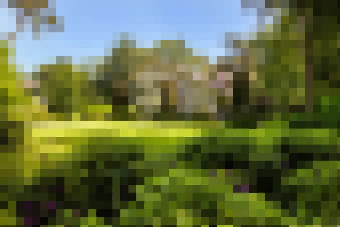 Nassaulaan 6 A Ermelo thumbnail 51