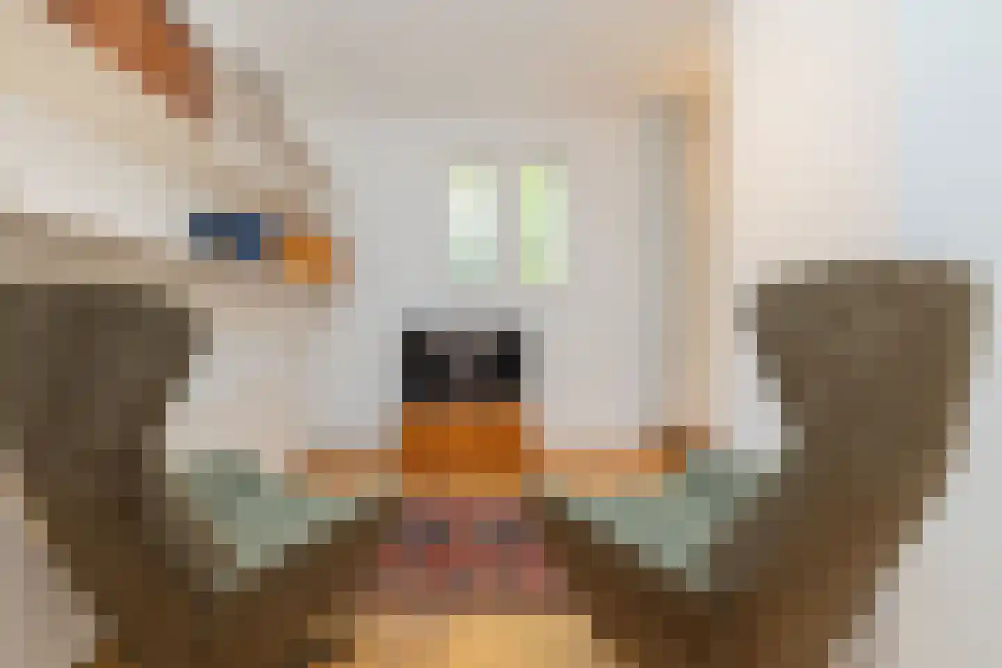 Nassaulaan 6 Oegstgeest thumbnail 16