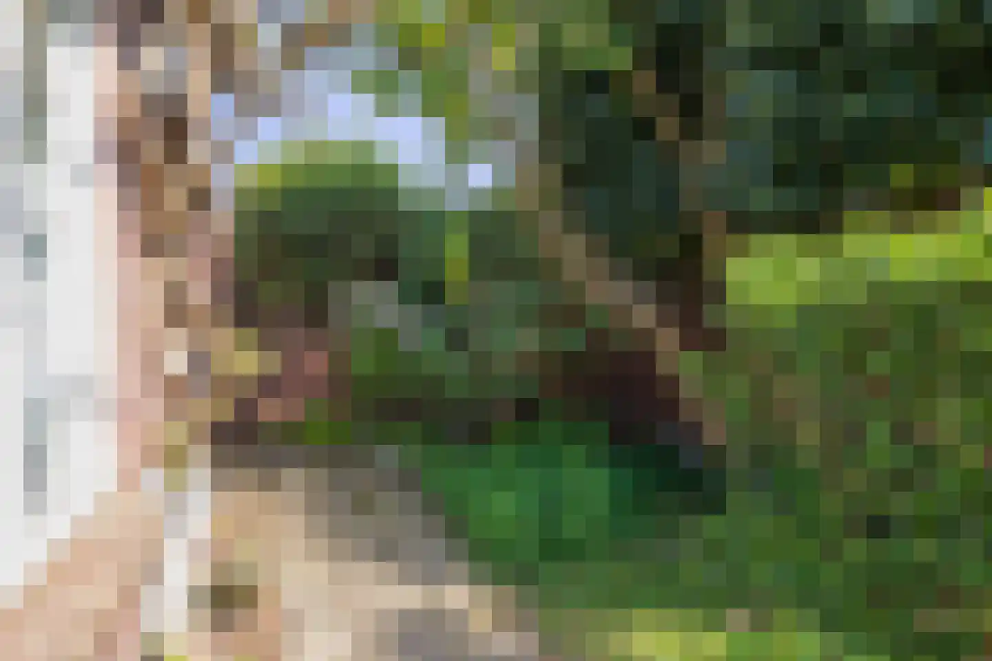 Nassaulaan 6 Oegstgeest thumbnail 30