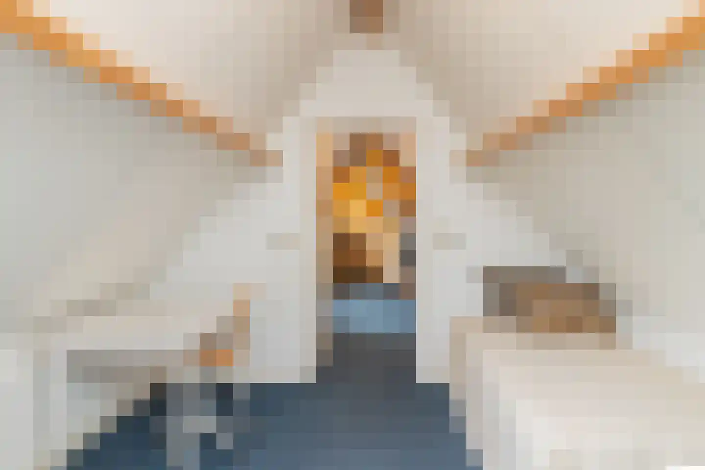 Nassaulaan 6 Oegstgeest thumbnail 30