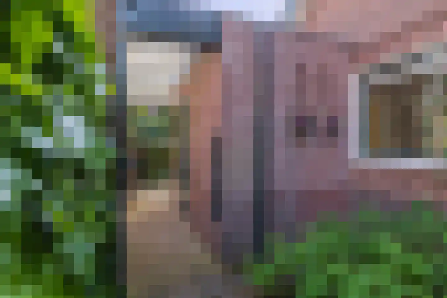 Nassaulaan 6 Oegstgeest thumbnail 39