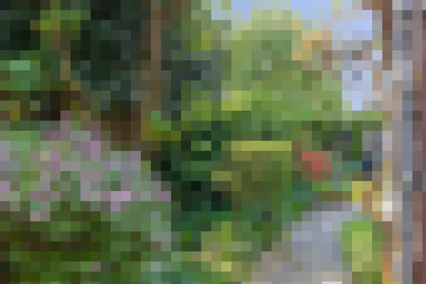 Nassaulaan 6 Oegstgeest thumbnail 41