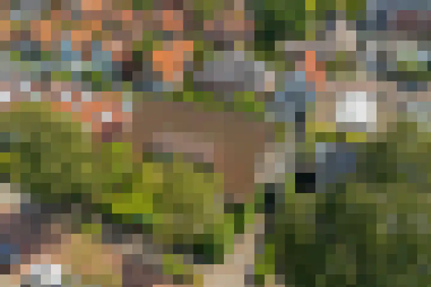 Nassaulaan 6 Oegstgeest thumbnail 47