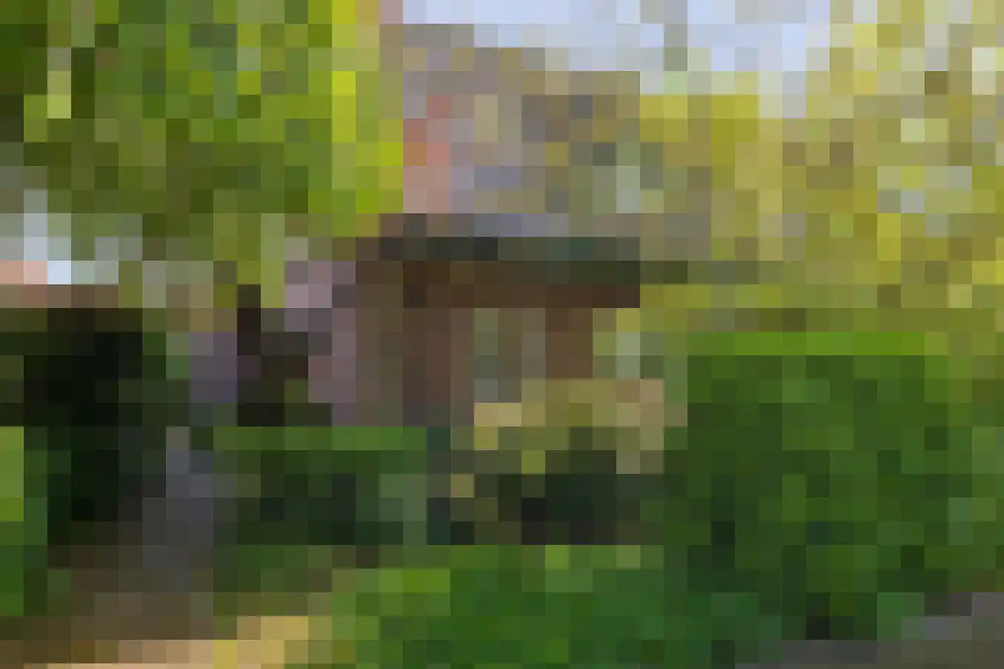 Nassaulaan 6 Oegstgeest thumbnail 5