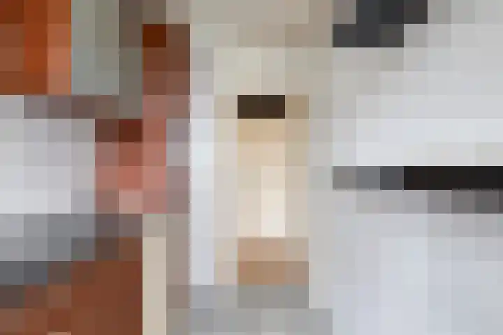 Nassaulaan 61 Middelburg thumbnail 16