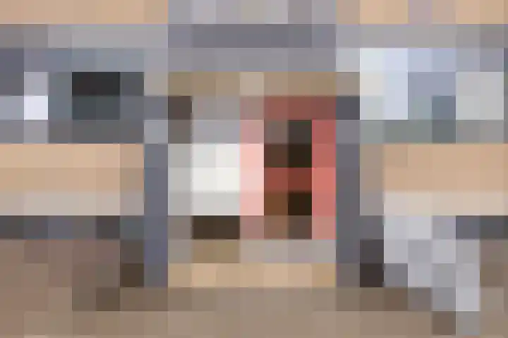 Nassaulaan 61 Middelburg thumbnail 27