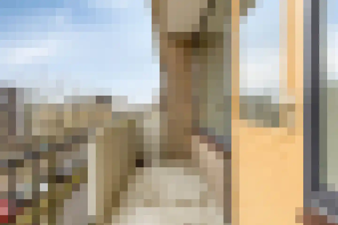 Nassaulaan 61 Middelburg thumbnail 5