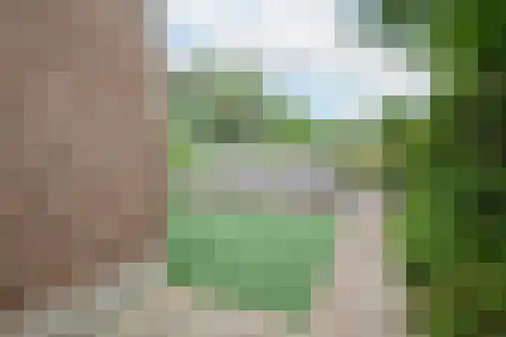 Nassaulaan 63 Rijnsburg thumbnail 10