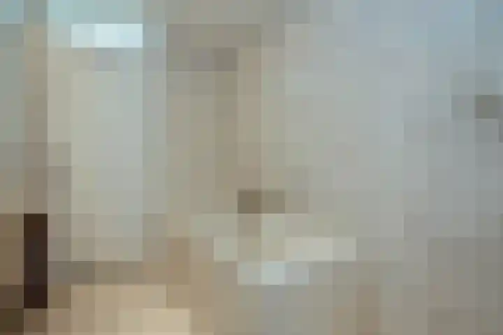 Nassaulaan 63 Rijnsburg thumbnail 31