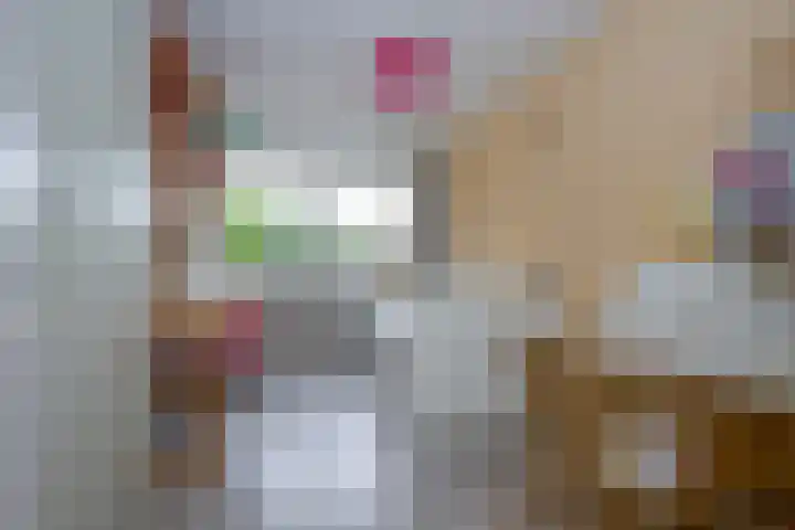 Nassaulaan 63 Rijnsburg thumbnail 34