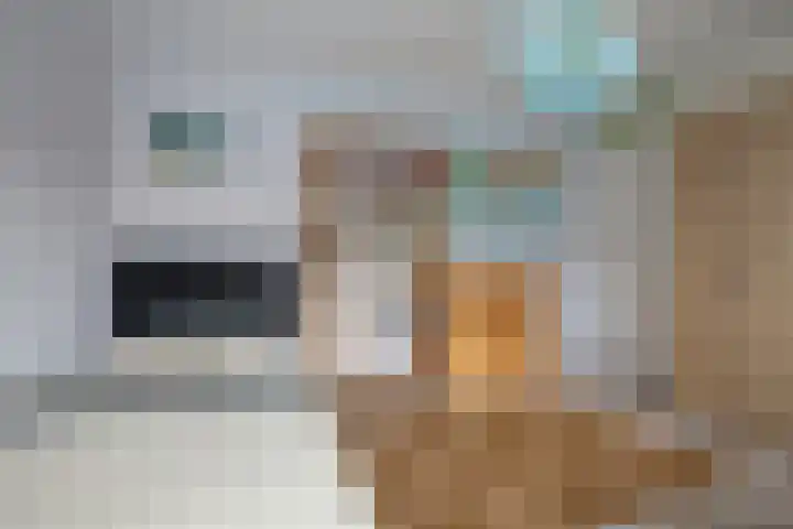 Nassaulaan 63 Rijnsburg thumbnail 38