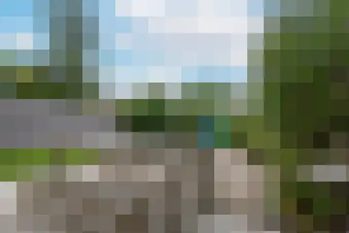 Nassaulaan 63 Rijnsburg thumbnail 47