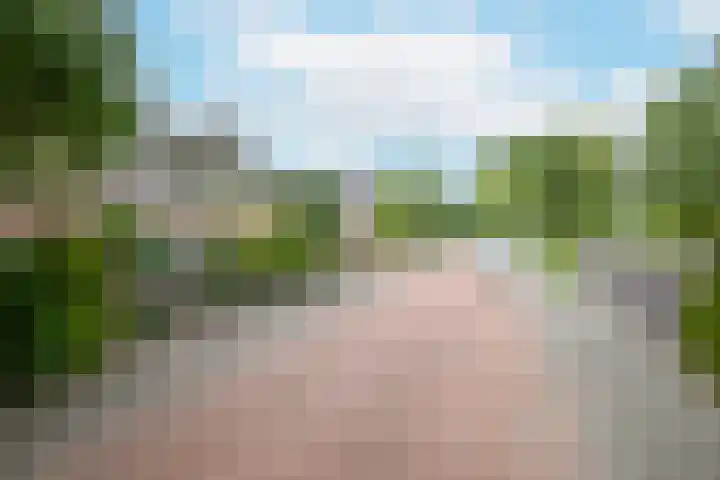 Nassaulaan 63 Rijnsburg thumbnail 5