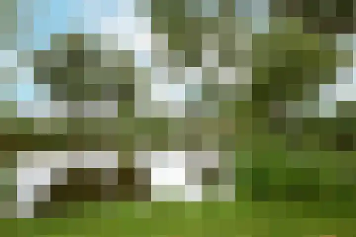 Nassaulaan 63 Rijnsburg thumbnail 51