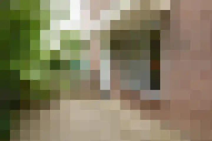 Nassaulaan 63 Rijnsburg thumbnail 9